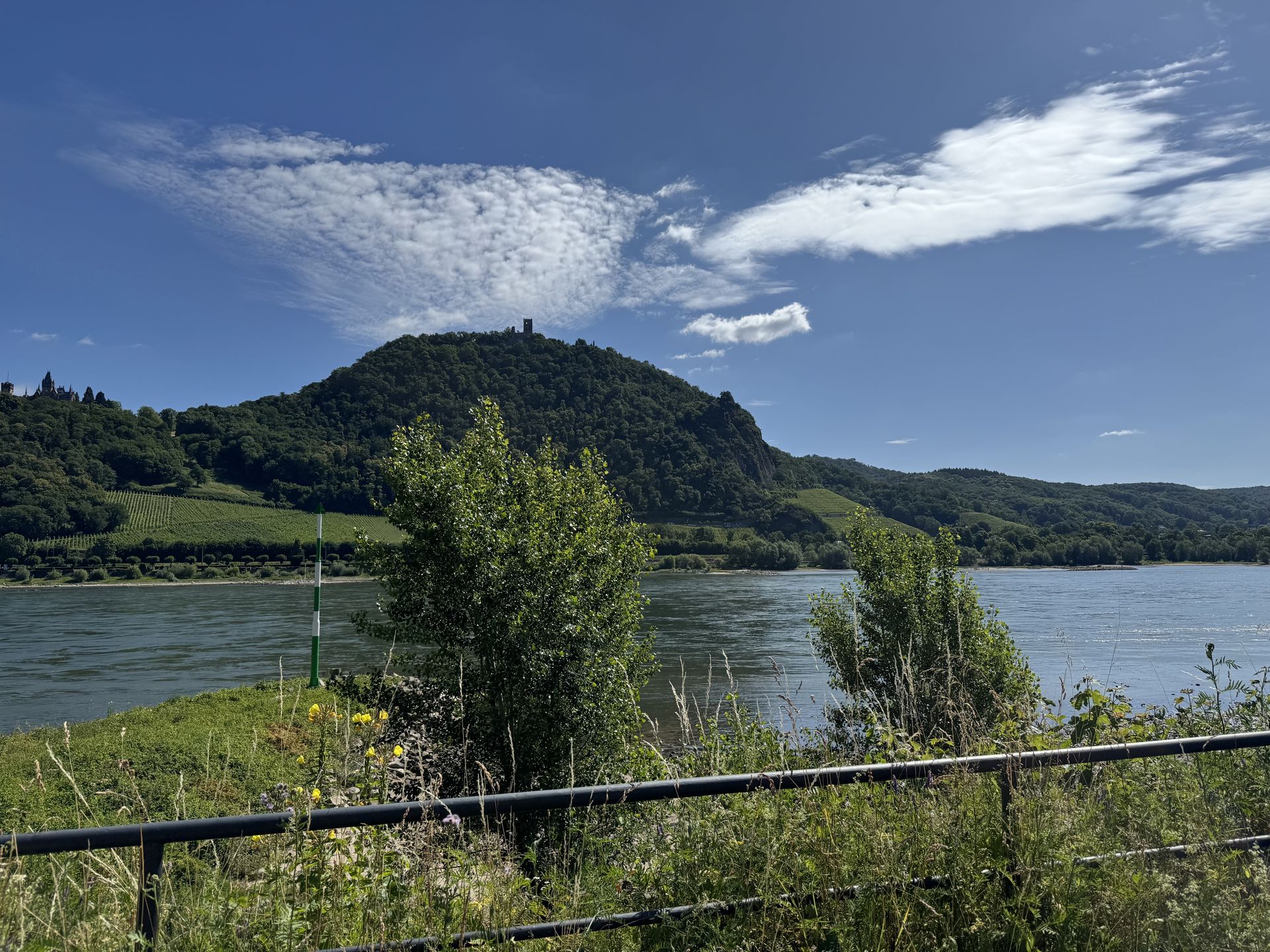 Blick auf den Rhein