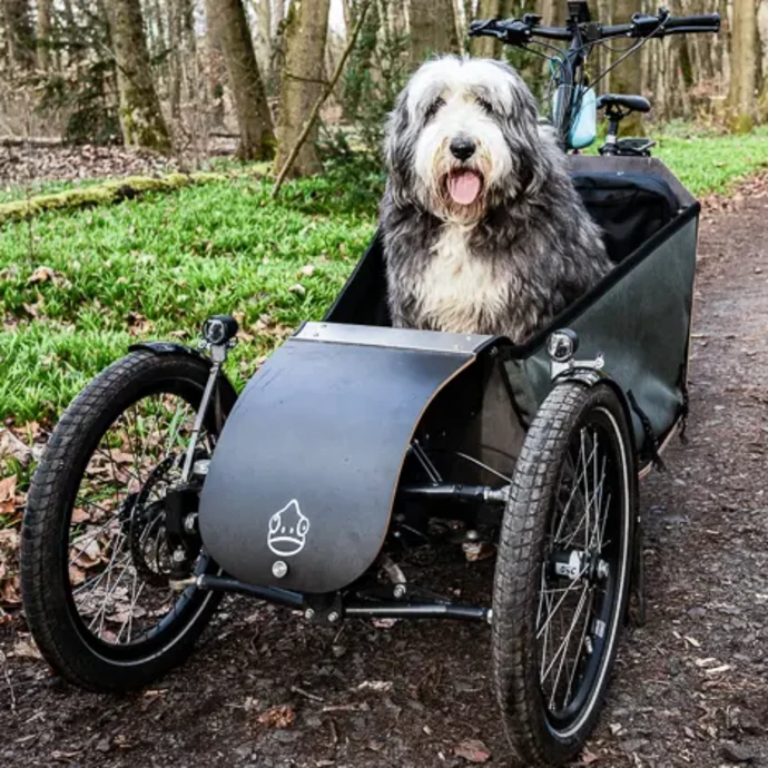 Ein Hund sitzt in einem Mäx & Mäleon Dog Transporter