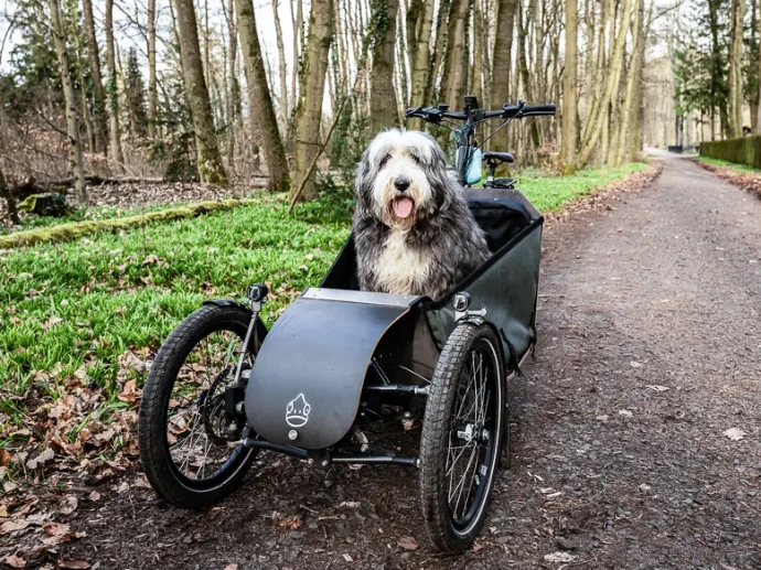 Ein großer Hund sitzt vorne in einem Mäx & Mäleon Lastenrad.