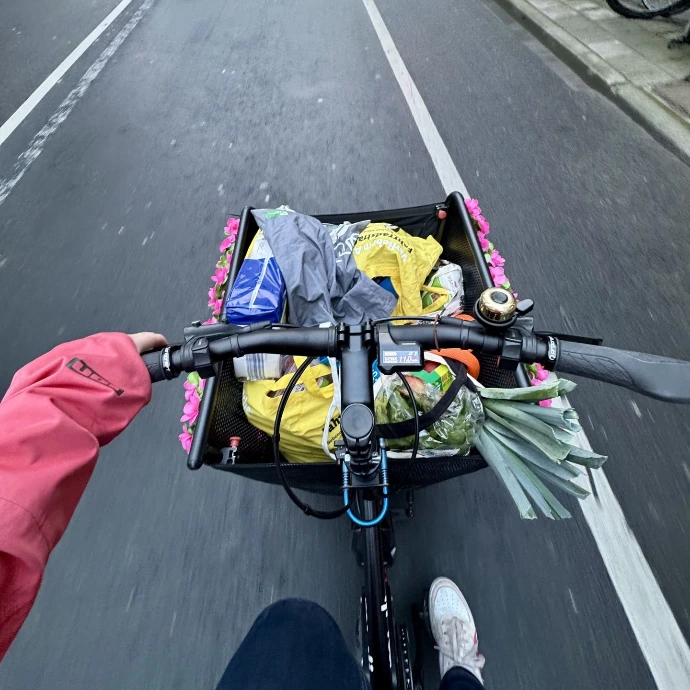 You see a cargo bike with an unfolded front basket. In this front basket, groceries are loaded.