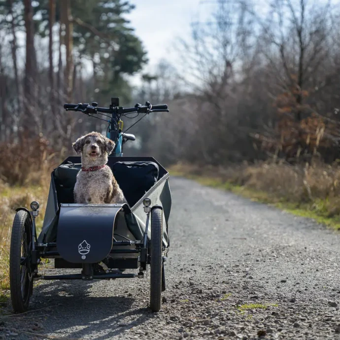 Ein Hund Mäx & Mäleon Dreirad auf einem schottrigen Weg