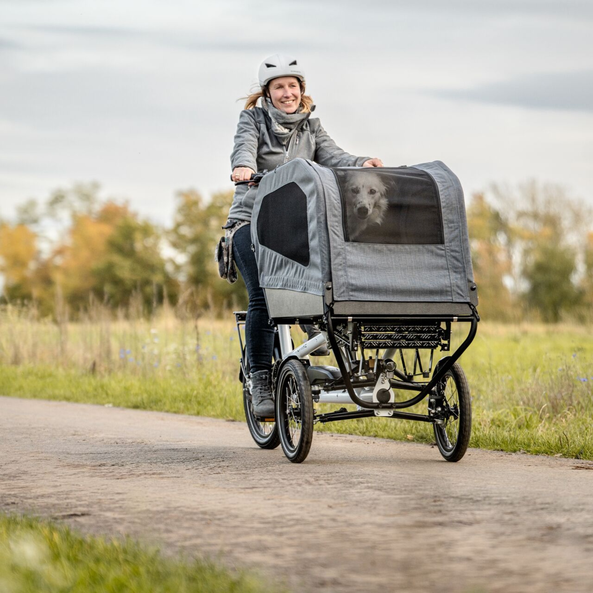 Ein Hund wird im chike e-dog transportiert