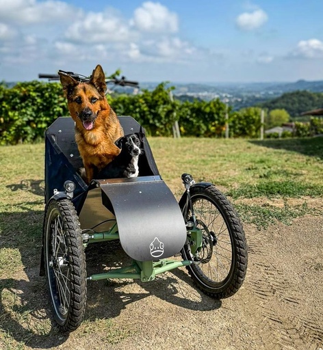 Lastenradberatung für Hund & Alltag