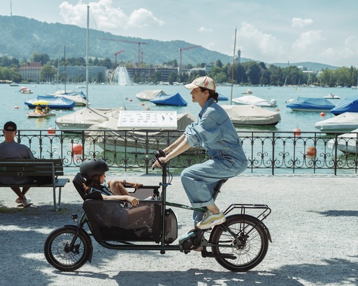 Consultation for a specific cargo bike
